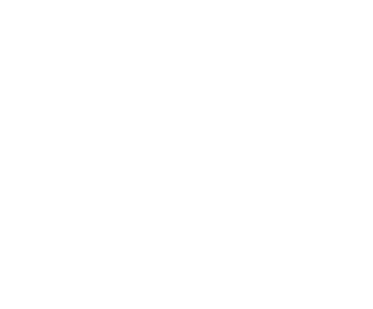 Logo Hotel Nevada